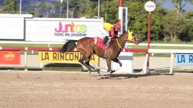 Este es el ajuste de Avasallante que puede abrir la última Triple Apuesta del año en La Rinconada Este es el ajuste de Avasallante que puede abrir la última Triple Apuesta del año en La Rinconada