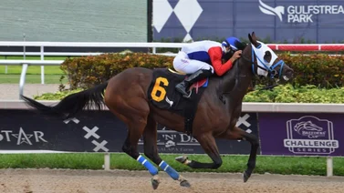 Yunta venezolana pega batacazo en la primera de la tarde en Gulfstream Park