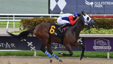 Yunta venezolana pega batacazo en la primera de la tarde en Gulfstream Park Yunta venezolana pega batacazo en la primera de la tarde en Gulfstream Park