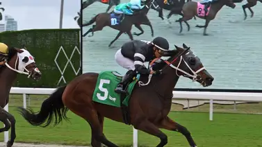 Emisael Jaramillo continua con racha victoriosa en el Championship Meet Emisael Jaramillo continua con racha victoriosa en el Championship Meet