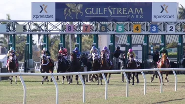 Exacta venezolana se queda con la última carrera de la tarde en Gulfstream Park