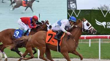  ¡Impresionante! Irad Ortiz Jr. supera esta marca personal en Estados Unidos 