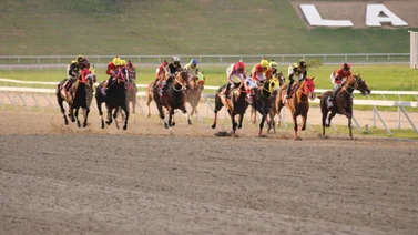 Datos de Última Hora para el Hipódromo La Rinconada 17-12-2023