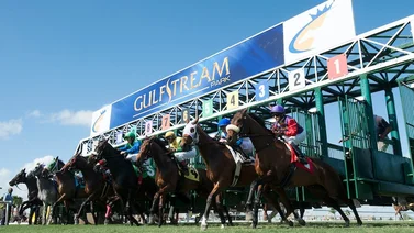 Por esta razón no se pudo concluir con la programación en Gulfstream Park