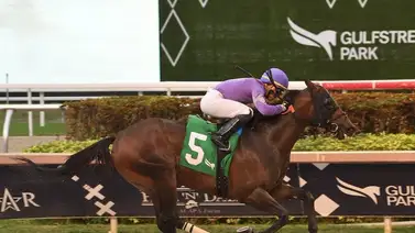 Edgar Tendón Pérez se acerca a esta cifra de victorias en un año en Estados Unidos Edgar Tendón Pérez se acerca a esta cifra de victorias en un año en Estados Unidos