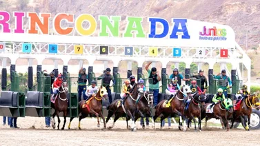 Estos son los retirados del Hipódromo La Rinconada 17-12-2023