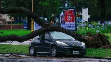 Intensas lluvias y vientos huracanados azotan Argentina y deja un saldo negativo (+Video)