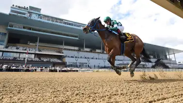 ¡Más leña al fuego! Esto dice la Comisión de Juegos de Nueva York sobre los comisarios de Aqueduct ¡Más leña al fuego! Esto dice la Comisión de Juegos de Nueva York sobre los comisarios de Aqueduct