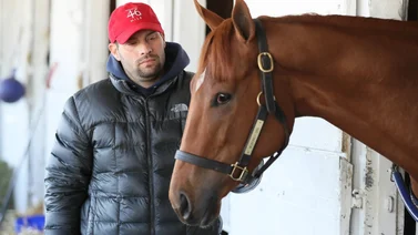Mira el tremendo error que cometieron con los caballos de este entrenador que correrían unos stakes