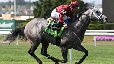 Retiran a la cría a esta yegua ganadora de Breeders’ Cup