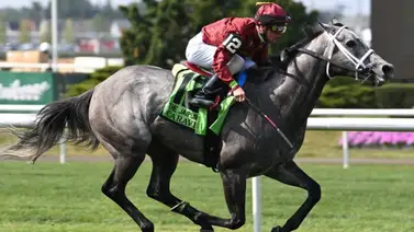 Retiran a la cría a esta yegua ganadora de Breeders’ Cup Retiran a la cría a esta yegua ganadora de Breeders’ Cup
