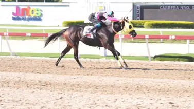 Dos yeguas ganadoras de La Rinconada serán convertidas en madres Dos yeguas ganadoras de La Rinconada serán convertidas en madres