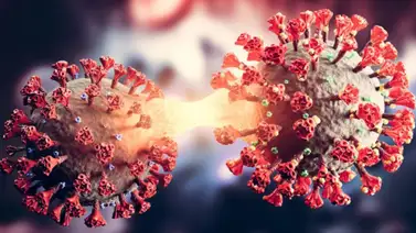 ¡Preocupante! Aumentan los casos de variante del Covid-19 “Pirola” la más contagiosa (+Video) ¡Preocupante! Aumentan los casos de variante del Covid-19 “Pirola” la más contagiosa (+Video)