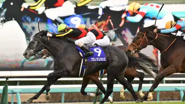 Este 24 de diciembre se correrá la prueba de mayor jugada en el mundo Este 24 de diciembre se correrá la prueba de mayor jugada en el mundo