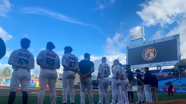 LVBP: Así va la serie particular entre Leones del Caracas y Navegantes del Magallanes en el Monumental 