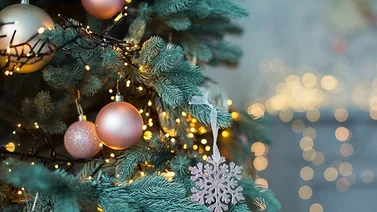 Estos son los restaurantes que estarán cerrados en Navidad 2023 (+Detalles)