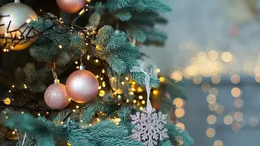 Estos son los restaurantes que estarán cerrados en Navidad 2023 (+Detalles) Estos son los restaurantes que estarán cerrados en Navidad 2023 (+Detalles)