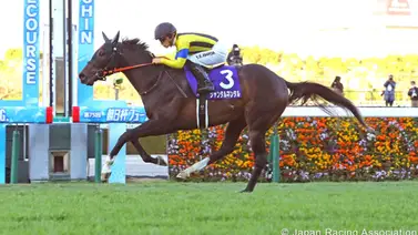 Yegua que fue entrenada por un venezolano en Estados Unidos produce a este ganador de G1 en Japón Yegua que fue entrenada por un venezolano en Estados Unidos produce a este ganador de G1 en Japón