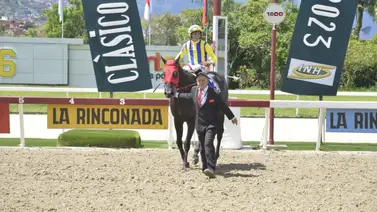 Conoce cuál es el Haras con más victorias en La Rinconada en el 2023 Conoce cuál es el Haras con más victorias en La Rinconada en el 2023