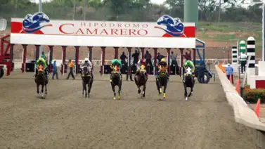 El Poolpote del Hipódromo Camarero tiene este acumulado para el jueves El Poolpote del Hipódromo Camarero tiene este acumulado para el jueves