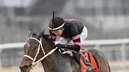 Jockey venezolano con más victorias en 2023 se titulará campeón en un prolongado meeting de Estados Unidos