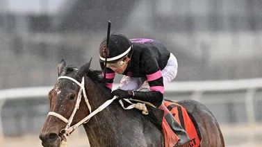 Jockey venezolano con más victorias en 2023 se titulará campeón en un prolongado meeting de Estados Unidos