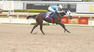 Mira cuál es el abuelo materno que dio más victorias en el 2023 Mira cuál es el abuelo materno que dio más victorias en el 2023