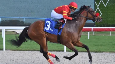 Emisael Jaramillo va con estas montas en el inicio de la cuarta semana del Championship Meet