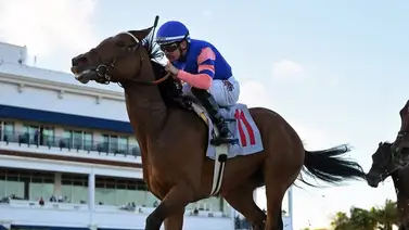 Junior Alvarado piensa ganar con estos ejemplares este jueves en Gulftream Park Junior Alvarado piensa ganar con estos ejemplares este jueves en Gulftream Park