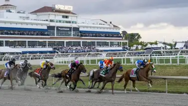 Estos son los Best Bet para hoy 21 de diciembre de 2023 en Gulfstream Park Estos son los Best Bet para hoy 21 de diciembre de 2023 en Gulfstream Park