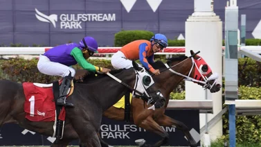 Grandes sorpresas sacuden la taquilla este jueves en Gulfstream Park