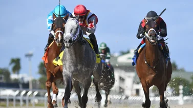 Así quedaron los resultados de las carreras de Gulfstream Park 21-12-23