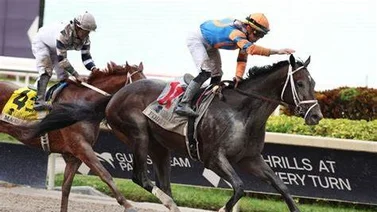 ¡Increíble! Mira el nuevo rumbo que tomó la descalificación de Forte del Hopeful Stakes (G1) de 2022