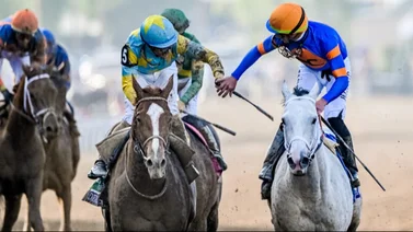 Los dos caballos que más dinero han generado en Estados Unidos tienen relación con venezolanos