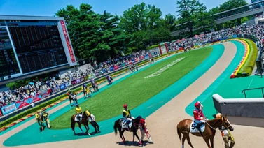 ¡Arigato! Nuevo convenio integra a Japón al hipismo europeo