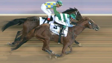 Mira la espectacular carrera que gana este caballo latinoamericano en Dubai (+video)