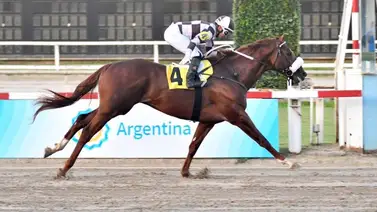 Este caballo latinoamericano hará su debut en Estados Unidos con este entrenador Este caballo latinoamericano hará su debut en Estados Unidos con este entrenador