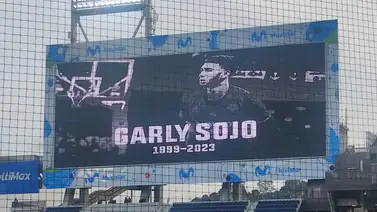 LVBP: Así fue el homenaje de Leones del Caracas para Garly Sojo en el Estadio Monumental (+Video) LVBP: Así fue el homenaje de Leones del Caracas para Garly Sojo en el Estadio Monumental (+Video)