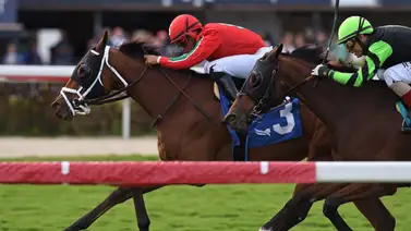 Así quedaron los resultados de las carreras de Gulfstream Park 22-12-23 Así quedaron los resultados de las carreras de Gulfstream Park 22-12-23