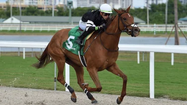¡Boleto único! Mira el impresionante dividendo que se lleva el ganador del Pick 6 este viernes en Gulfstream Park