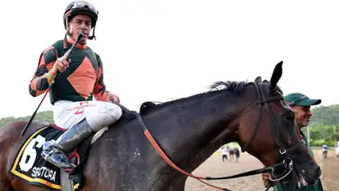 Dos potras retan a los machos en el Clásico Navidad del Hipódromo Camarero en Puerto Rico Dos potras retan a los machos en el Clásico Navidad del Hipódromo Camarero en Puerto Rico