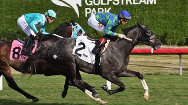 Así quedaron los resultados de las carreras de Gulfstream Park 23-12-23