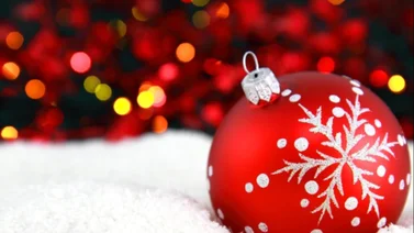 ¿Cómo prefieren pasar los días navideños los artistas? Aquí te lo contamos