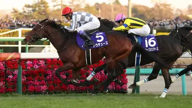 Do Deuce conquista el Arima Kinen en final cerrado Do Deuce conquista el Arima Kinen en final cerrado