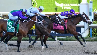 Spirit Wind ganó desde la salida el Sugar Swirl Stakes G3