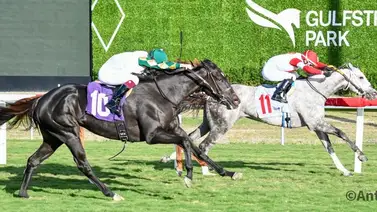 Be My Sunshine gana de manera sorpresiva la Tropical Park Oaks Be My Sunshine gana de manera sorpresiva la Tropical Park Oaks