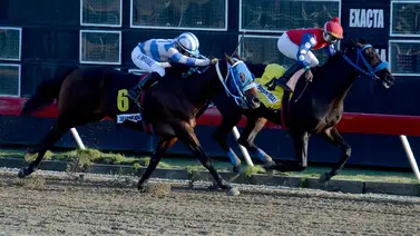 El importado Puckett se lleva el Clásico Navidad en República Dominicana El importado Puckett se lleva el Clásico Navidad en República Dominicana