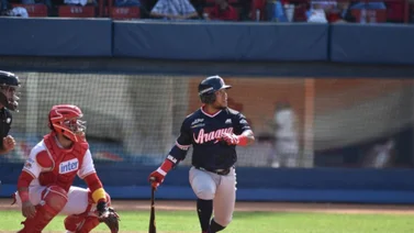 LVBP: ¡Poder único! Estos son los bateadores zurdos más destacados de la temporada 2023-2024 (+Detalles)
