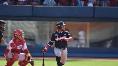 LVBP: ¡Poder único! Estos son los bateadores zurdos más destacados de la temporada 2023-2024 (+Detalles) LVBP: ¡Poder único! Estos son los bateadores zurdos más destacados de la temporada 2023-2024 (+Detalles)