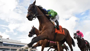 ¡Final dramático! Así gana el caballo F Five los 3.200 metros del H. Allen Jerkens Handicap en Gulfstream Park (+video)